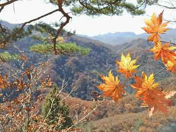 苹果从榜1到榜3，一个特朗普的功劳